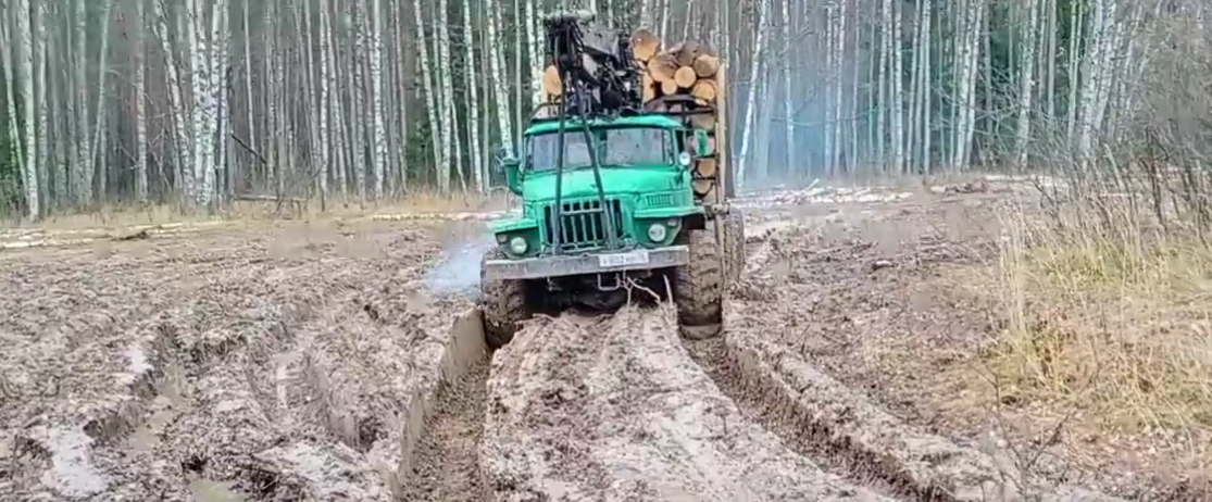 Арочные шины